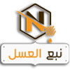 ne3 logo